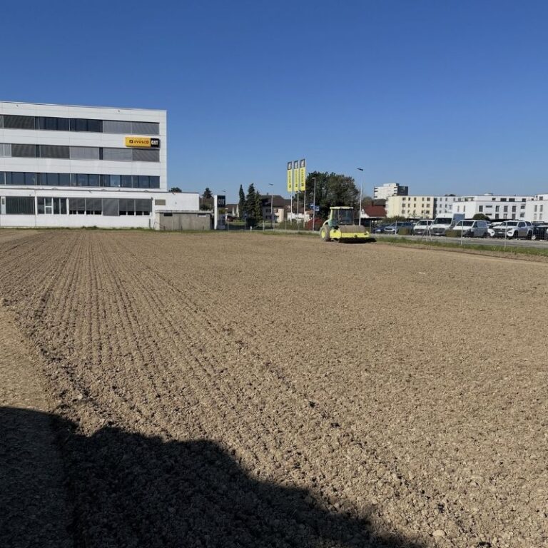 Midlertidig parkering til 250 biler (4)